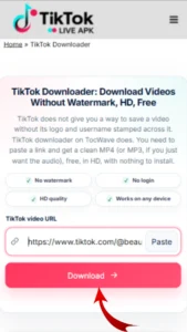 TikTok Downloader 3 A mouse cursor clicking the bright Download button on the TocWave toolkit interface.