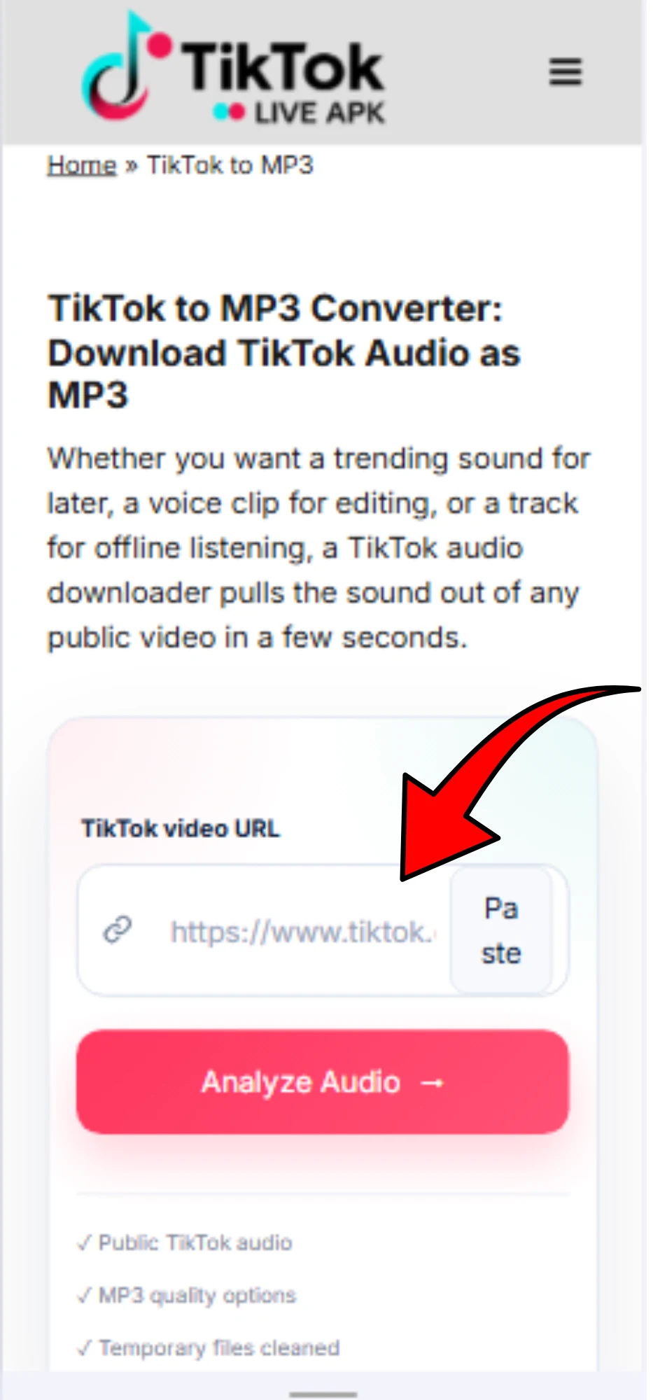 TikTok to MP3 4 Download button for saving the converted TikTok MP3 file to local device storage.