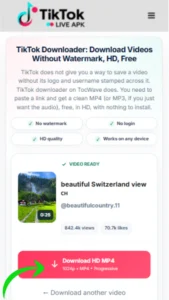 TikTok Downloader 4 TocWave download option buttons for clean MP4 video without watermark and MP3 audio file.