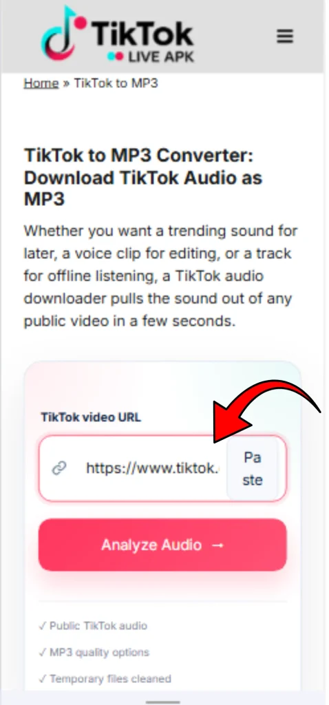 TikTok to MP3 2 TikTok to MP3 converter input box with the paste button highlighted.