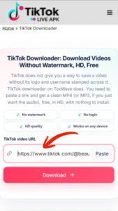 TikTok Downloader 2 TocWave TikTok downloader input box with a pasted video URL ready for processing.
